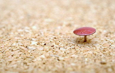 Similar image 1622848