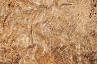 Similar image 1622884