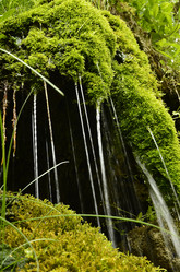 Similar image 1622946