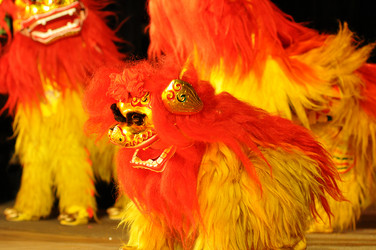 Similar image 1623004