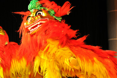 Similar image 1623005