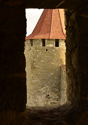 Similar image 1623019