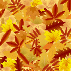 Similar image 1623104