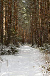 Similar image 1623135