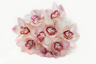 Similar image 1623194