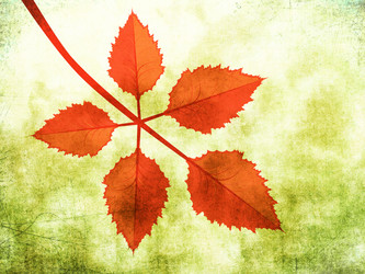 Similar image 1623227