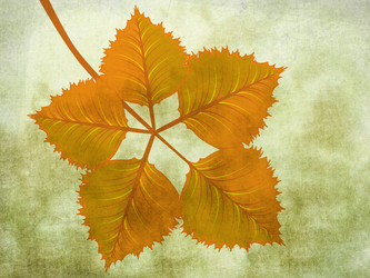 Similar image 1623228