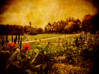 Similar image 1623268