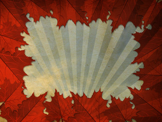 Similar image 1623269