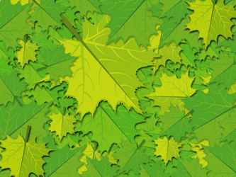 Similar image 1623276