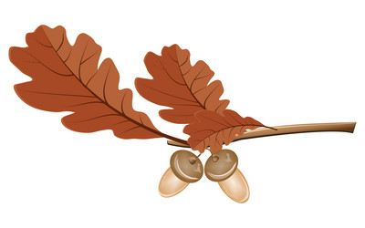 Similar image 1623290