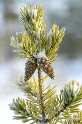 Similar image 1623305