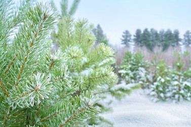 Similar image 1623306