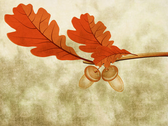 Similar image 1623311