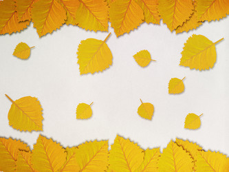 Similar image 1623341