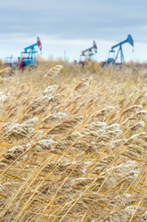 Similar image 1623351