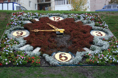 Similar image 1623419