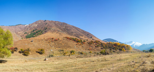 Similar image 1623435