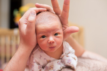 Similar image 1623454