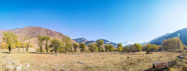 Similar image 1623460