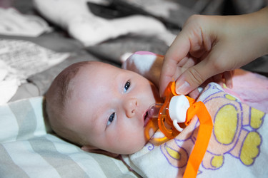 Similar image 1623461