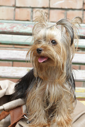 Similar image 1623543