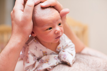 Similar image 1624049