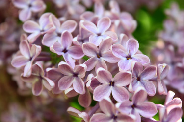 Similar image 1624057