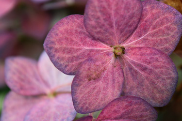 Similar image 1624059