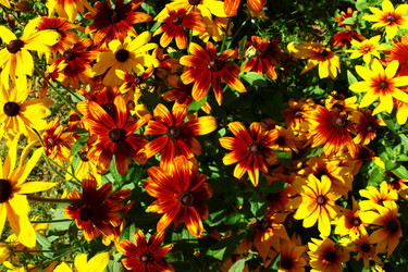 Similar image 1624061