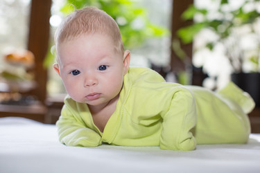 Similar image 1624067