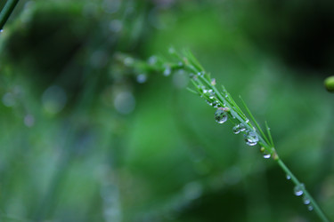 Similar image 1624069