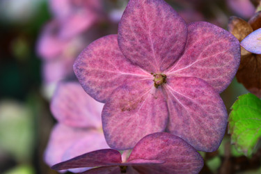 Similar image 1624071