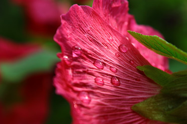 Similar image 1624074