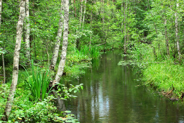 Similar image 1624138