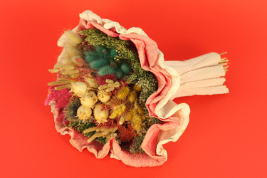 Similar image 1624204