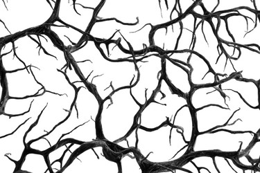 Similar image 1624215