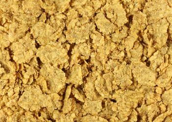 Similar image 1624264