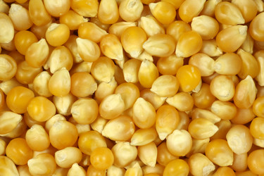 Similar image 1624289