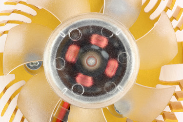 Similar image 1624299