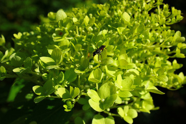 Similar image 1624319