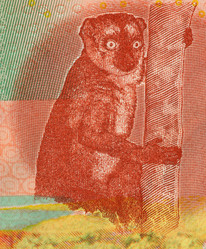 Similar image 1624329