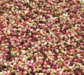 Similar image 1624427