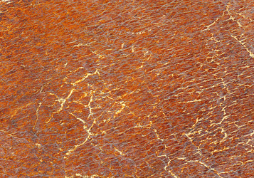 Similar image 1624455