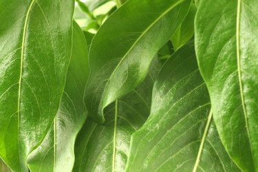 Similar image 1624484