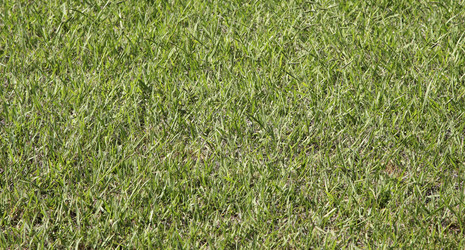 Similar image 1624520