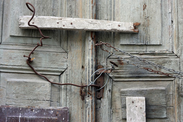 Similar image 1624554