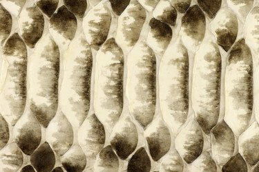 Similar image 1624581