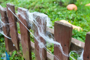 Similar image 1624586