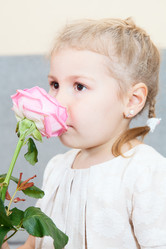 Similar image 1624736